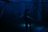 Ieva Gaurilčikaitė-Sants | Species Shifter